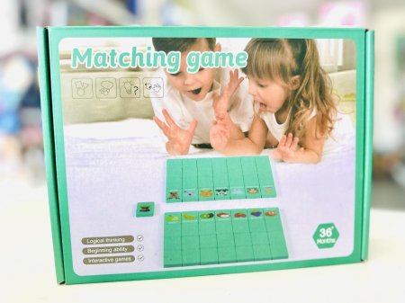 دومينو التطابق matching game