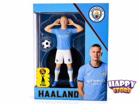 HAALAND