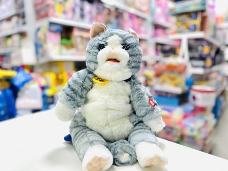 القطة الناعمة